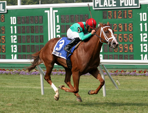 Audacious Chloe will try to capture the Tuzla Stakes at Santa Anita Audacious Chloe will try to capture the Tuzla Stakes at Santa Anita