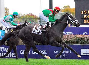 Pluck winning the Breeders' Cup